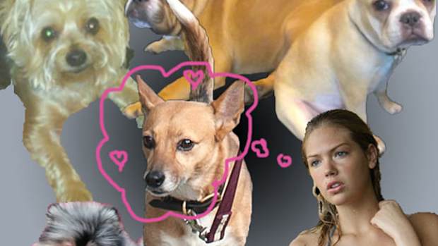 model-pooches-t1.jpg